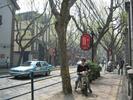 french concession