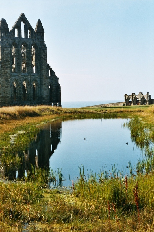 The Abbey Pool 3